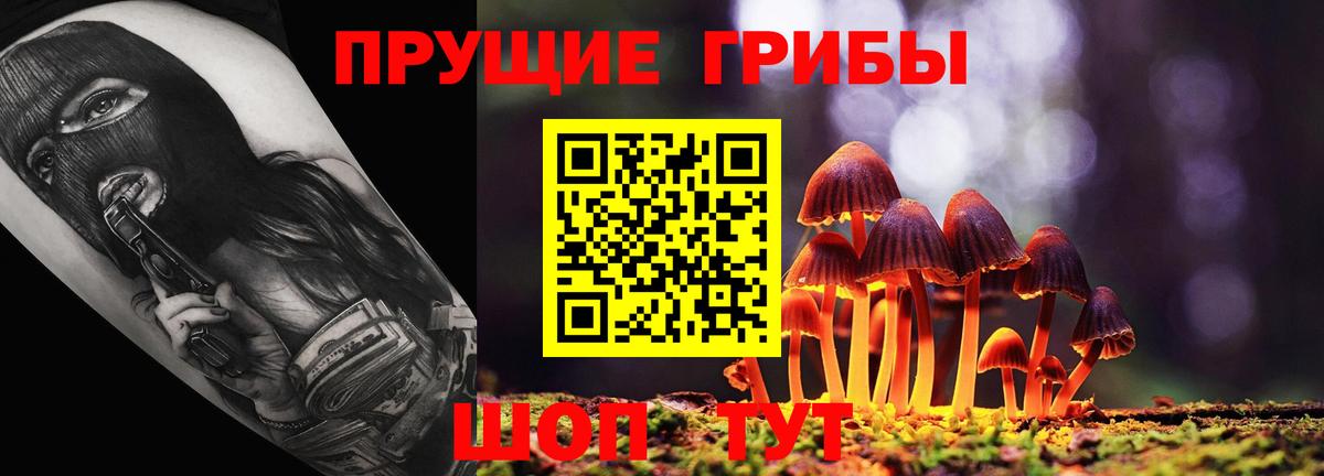купить наркотик  Галлюциногенные грибы Psilocybe  Светлоград  Вход с VPN  Псилоцибиновые грибы прущие грибы 